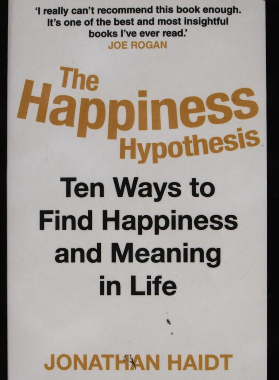 The Happiness Hypothesis: Ten Ways to Find Happiness and Meaning in Life