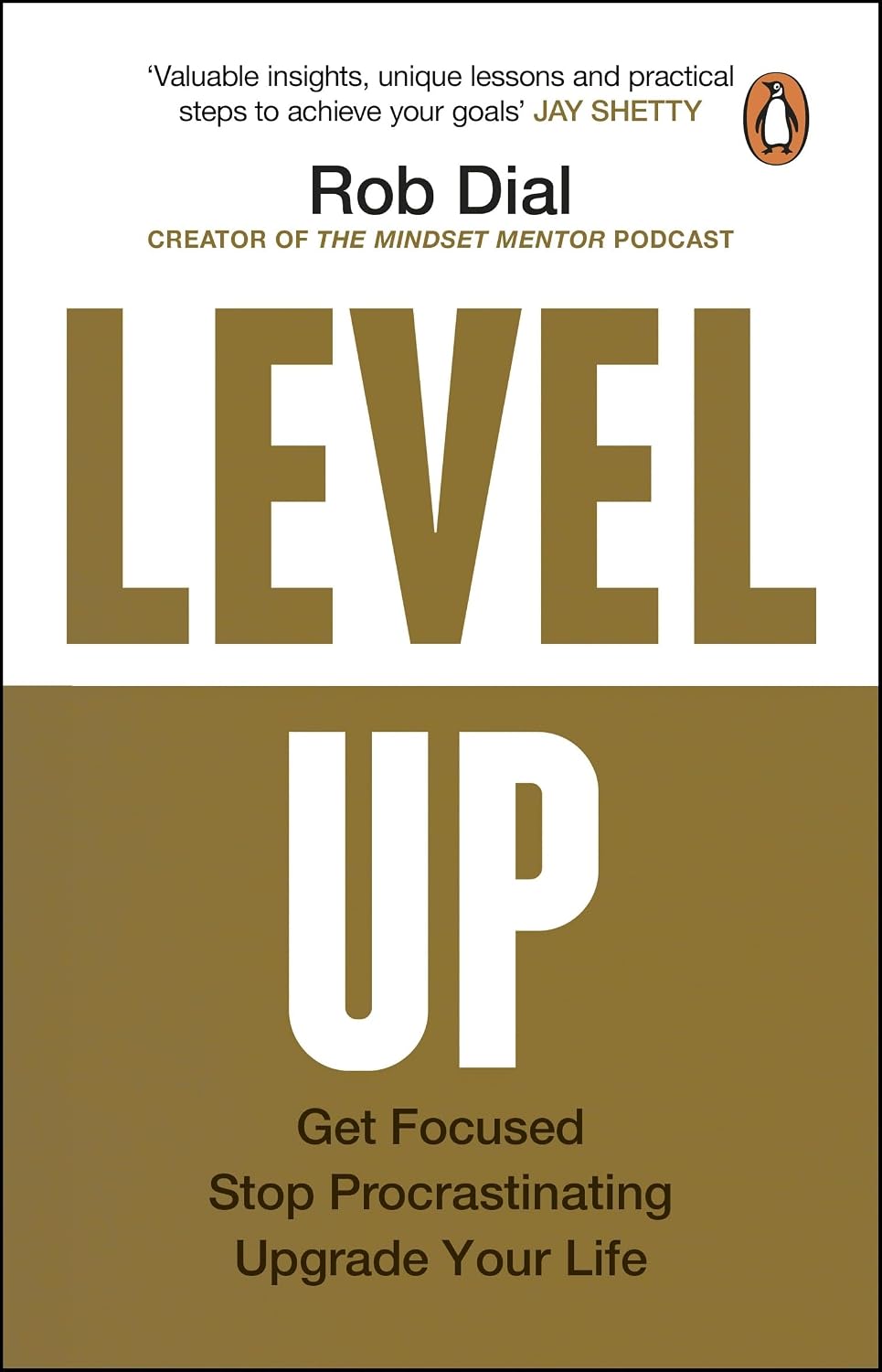 Level Up: Get Focused, Stop Procrastinating and Upgrade Your Life