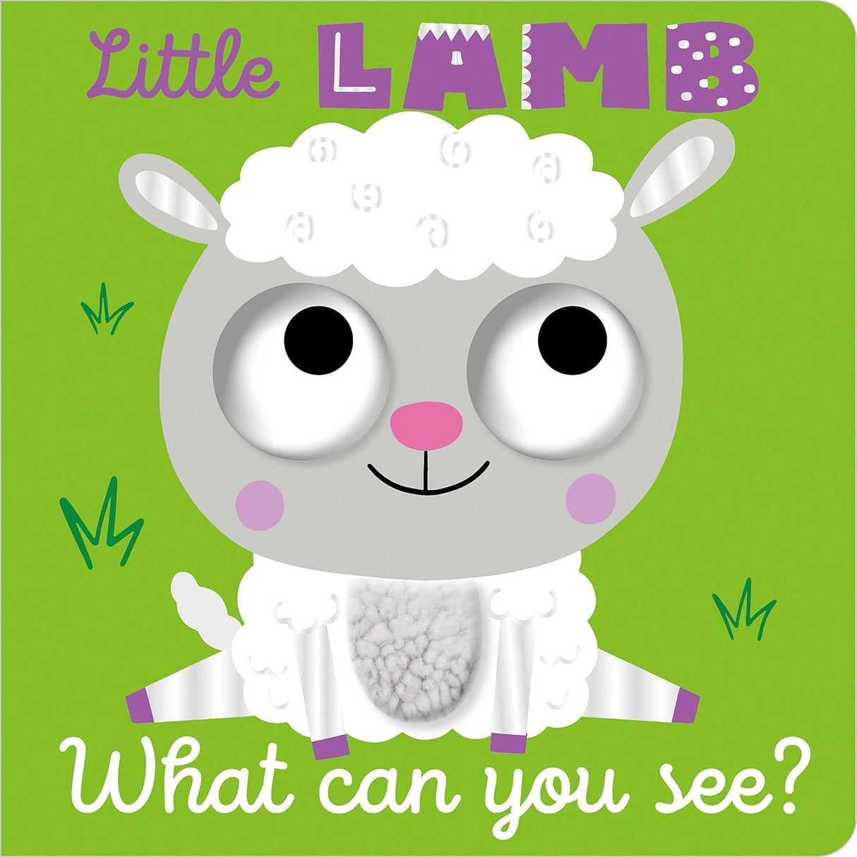 What Can You See? Little Lamb What Can You See?