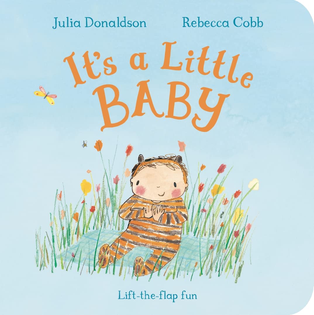 It's a Little Baby: Lift-the-flap Fun