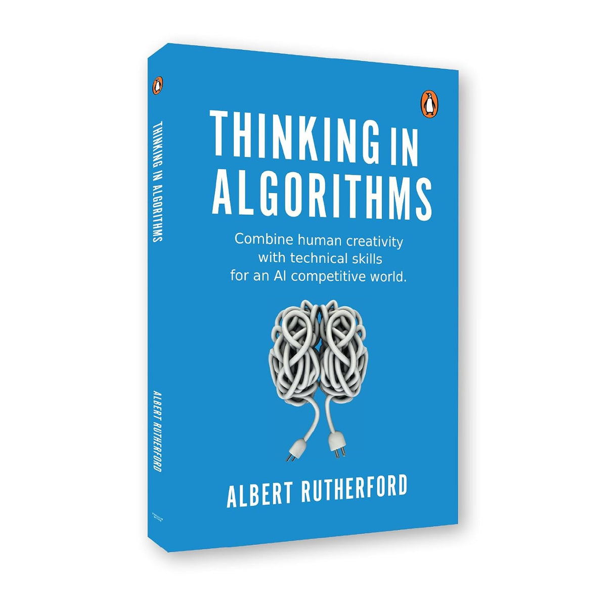 Thinking in Algorithms