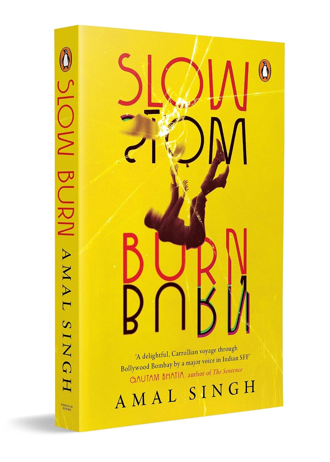 Slow Burn: a Contemporary Fiction Novel Set in Mumbai