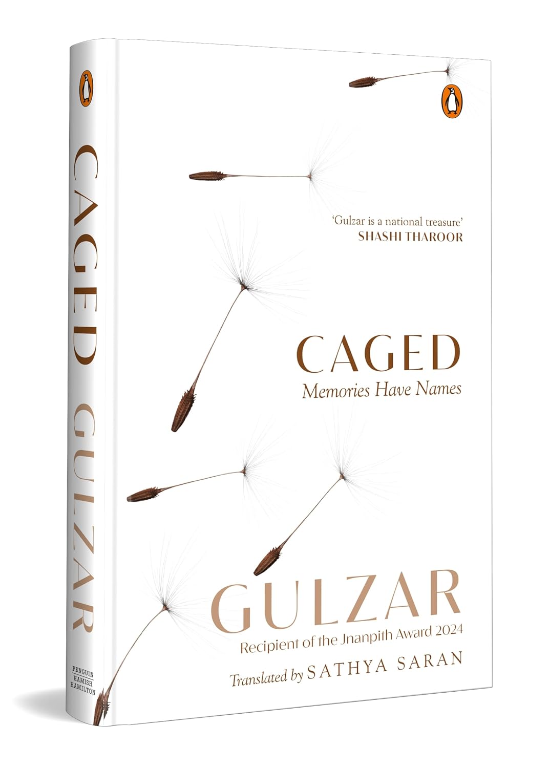 Caged: Memories Have Names
