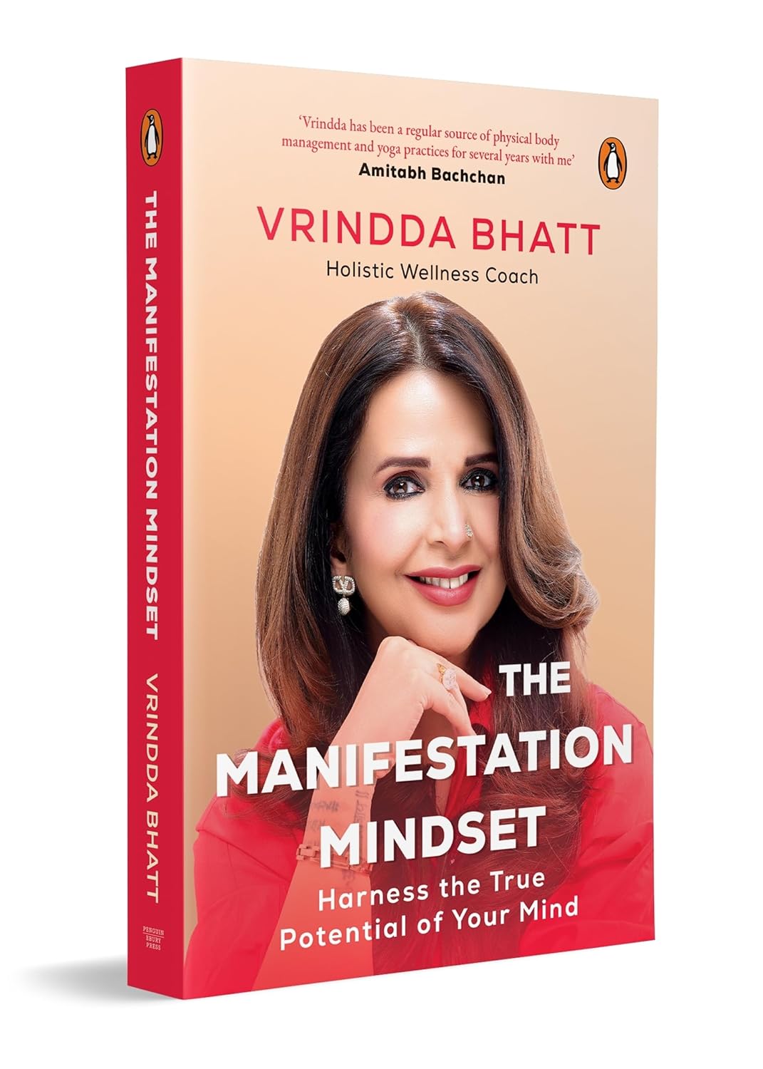The Manifestation Mindset: Harness the True Potential of Your Mind