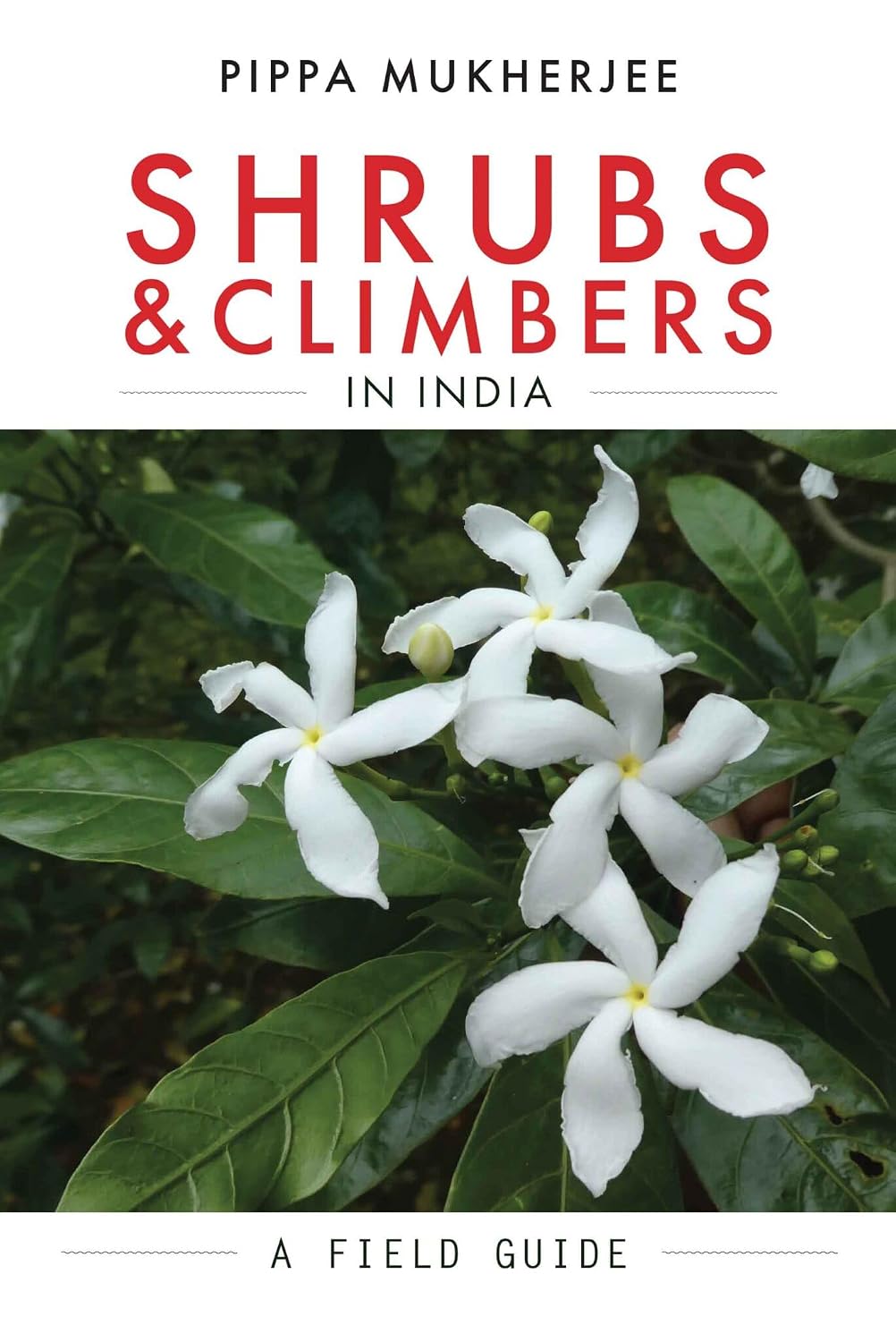 Shrubs & Climbers in India: a Field Guide