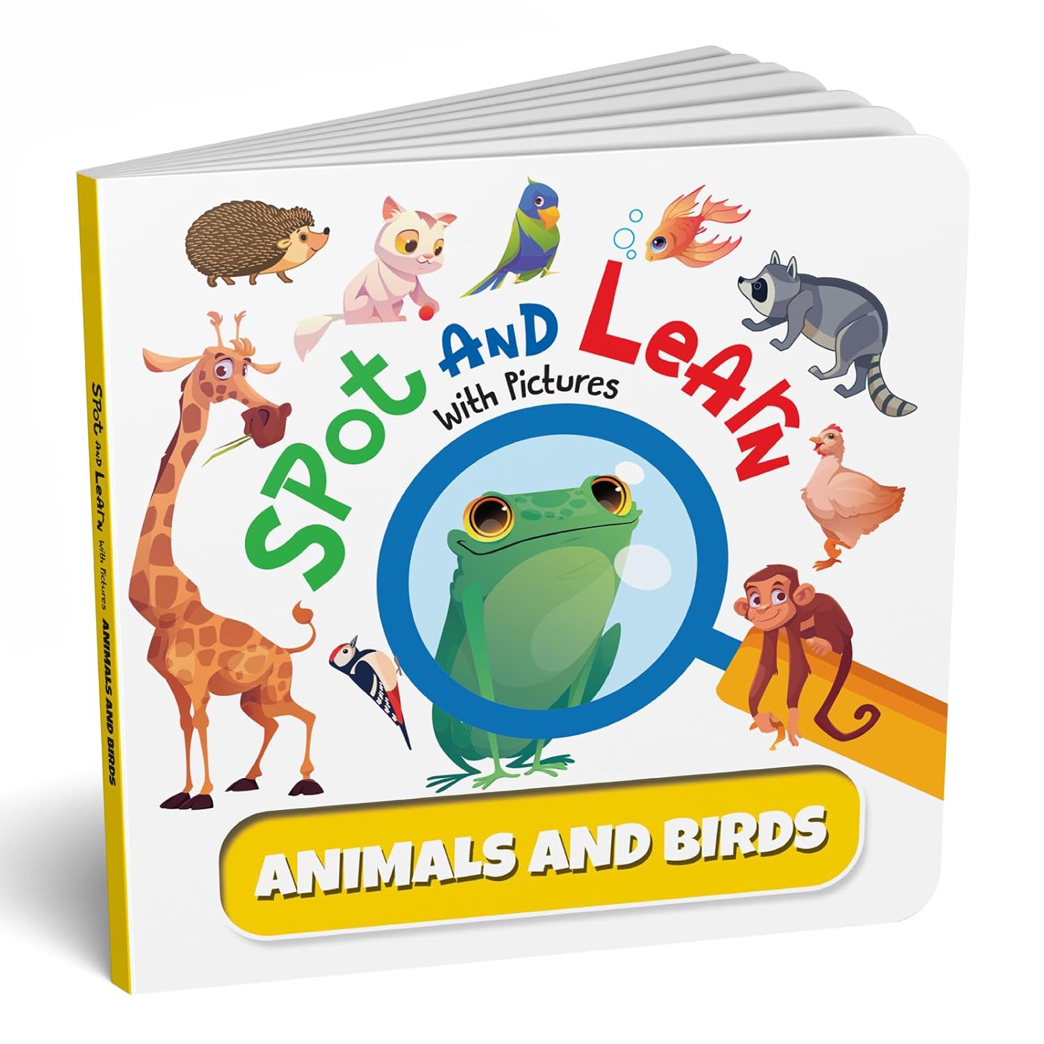 Spot and Learn With Pictures