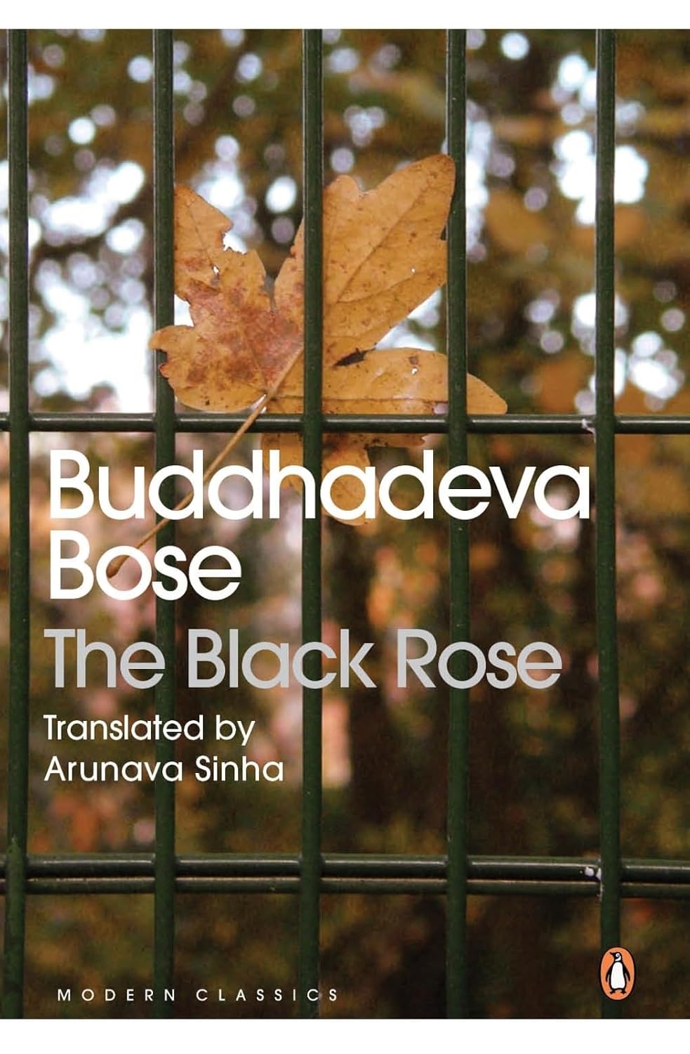 The Black Rose