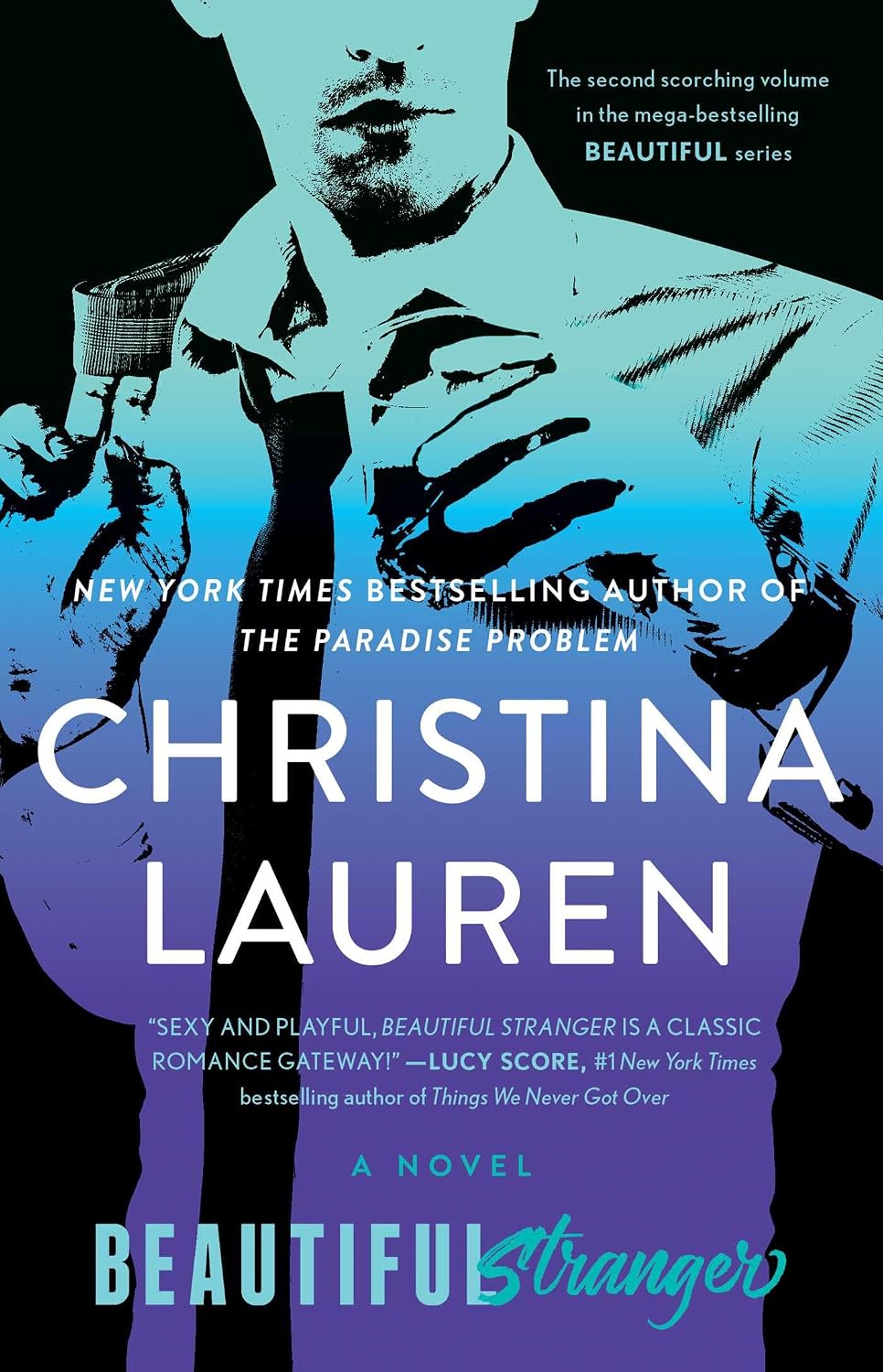 Beautiful stranger: a novel