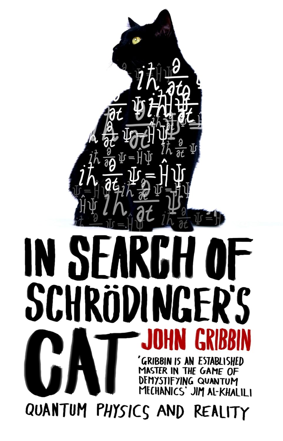 In Search of Schrodinger's Cat: Updated Edition