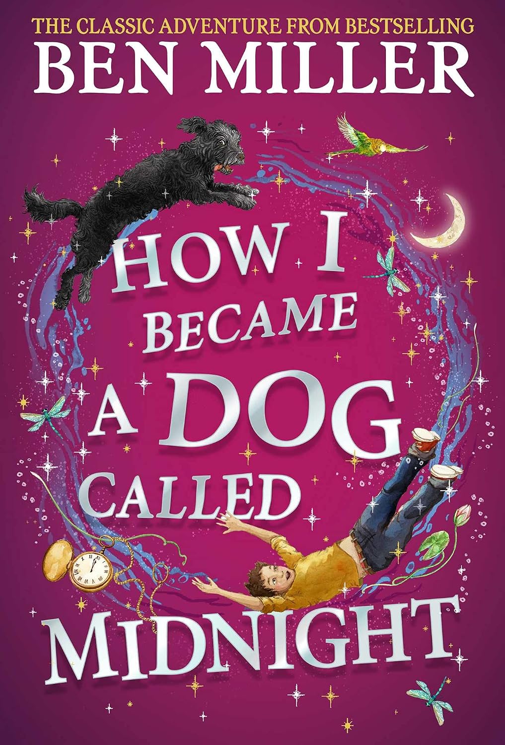 How I Became a Dog Called Midnight