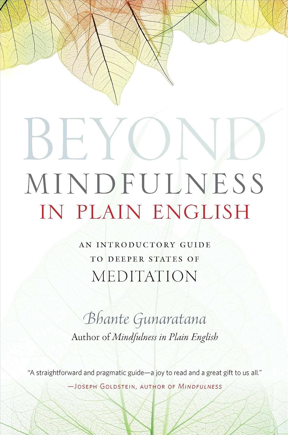 Beyond Mindfulness In-tr
