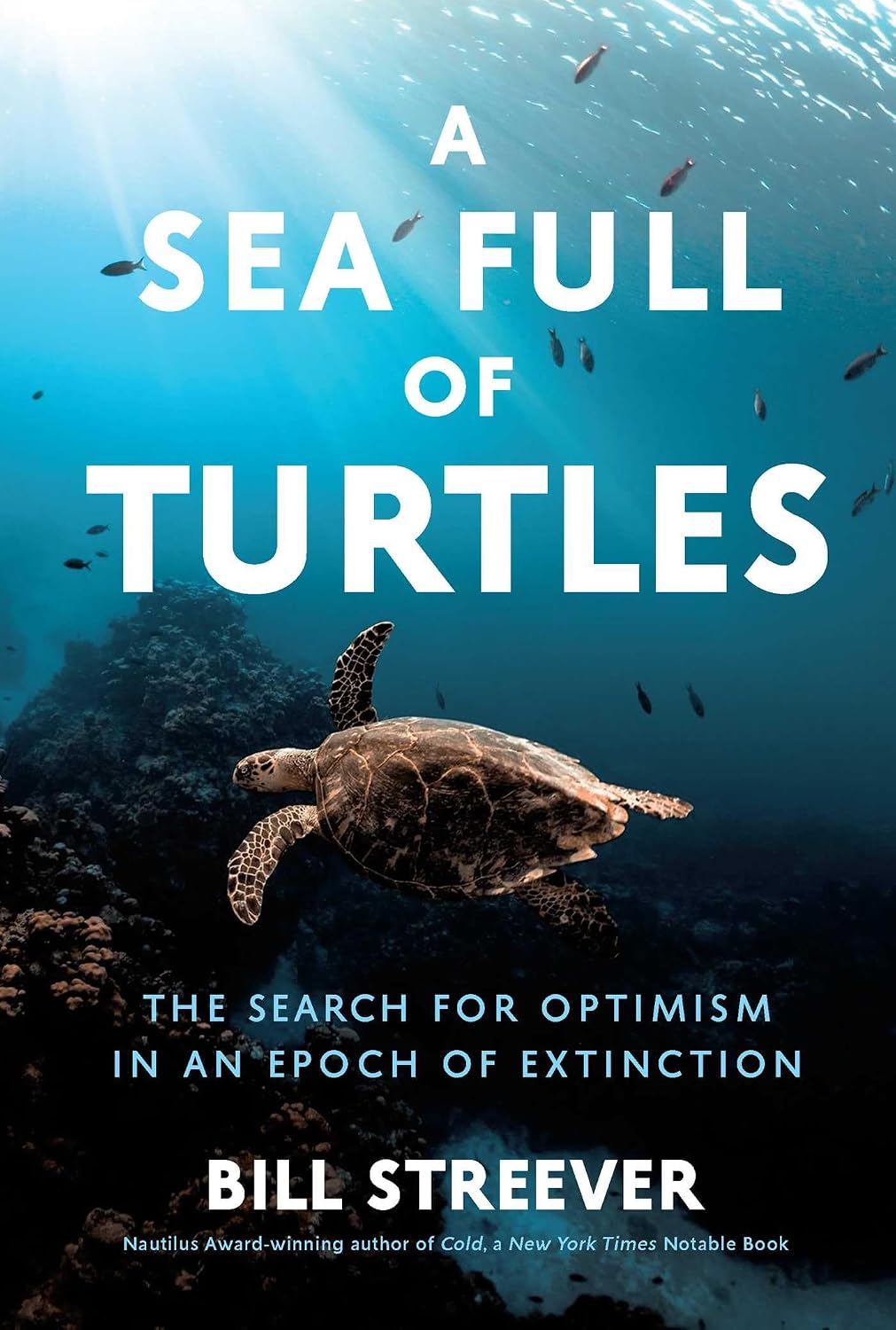 Sea Full of Turtles: The Search for Optimism in an Epoch of Extinction