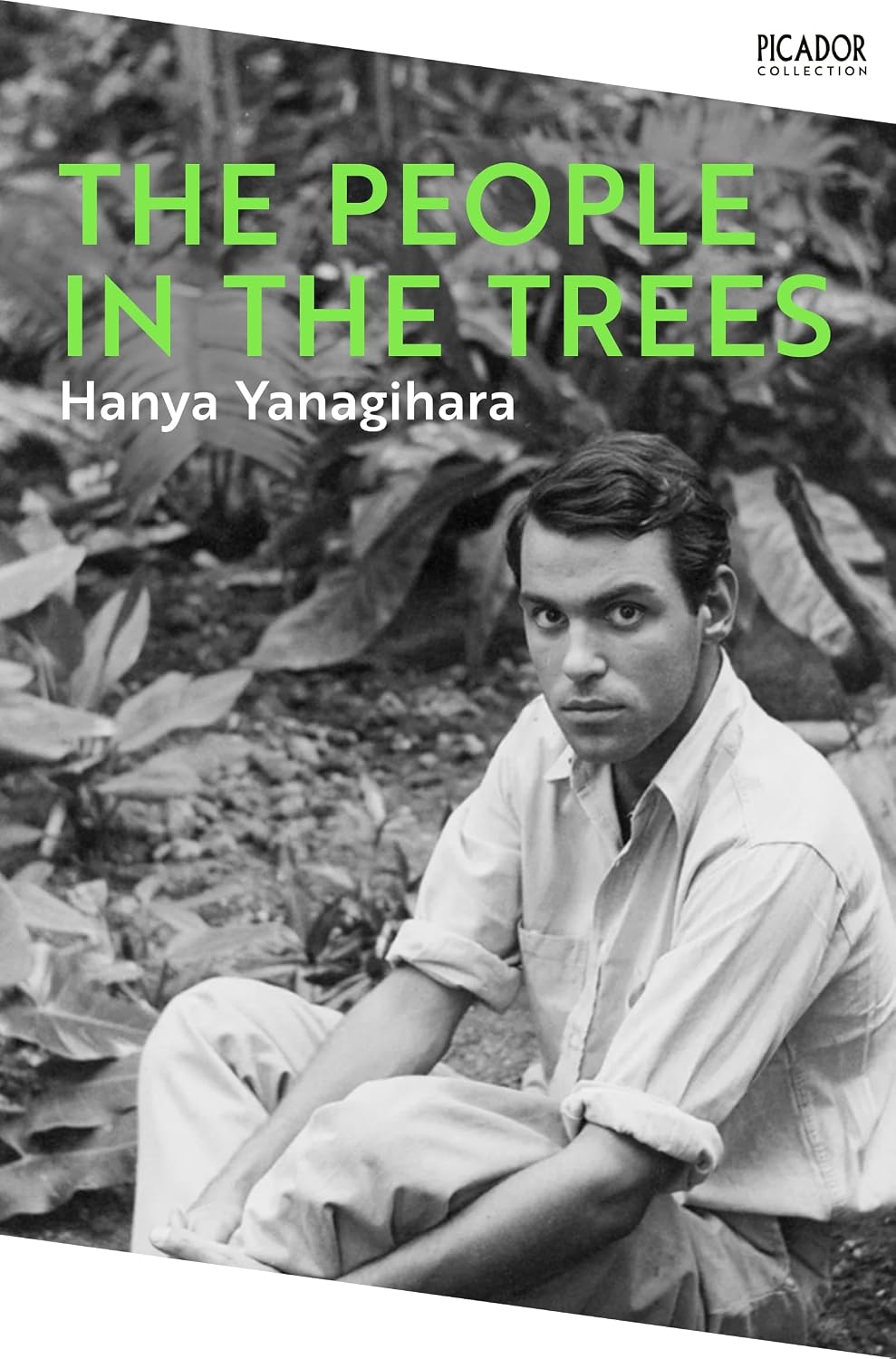 People in the Trees: The Stunning First Novel from the Author of a Little Life