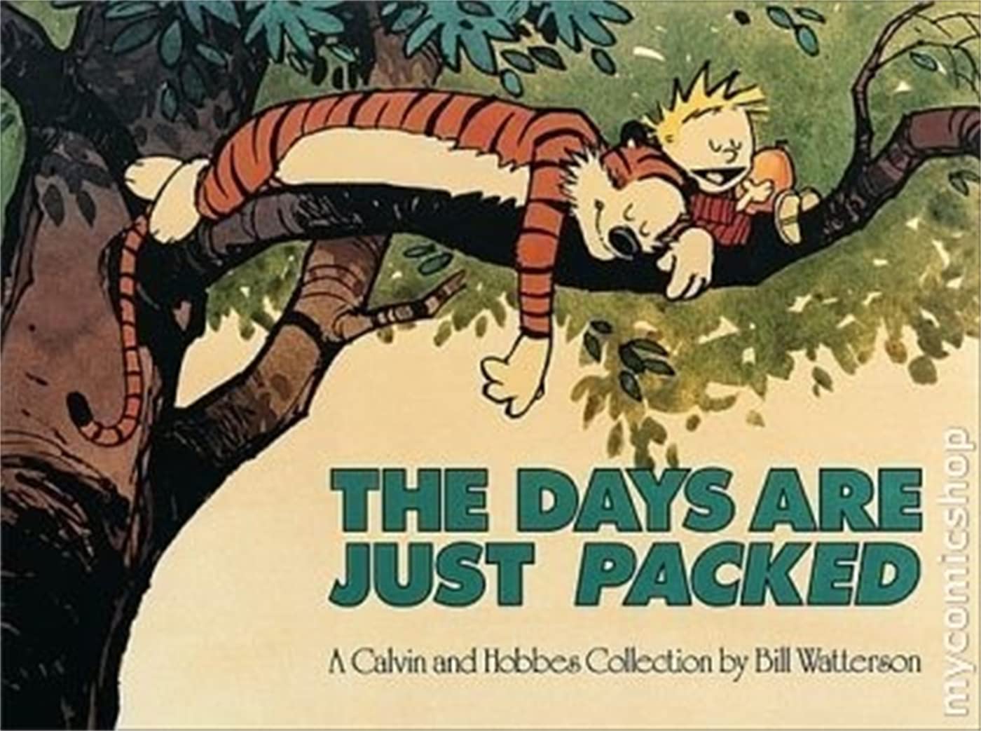 Calvin & Hobbes: the Days Are Just Packed