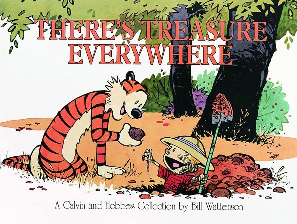 There's treasure everywhere: a Calvin and Hobbes collection