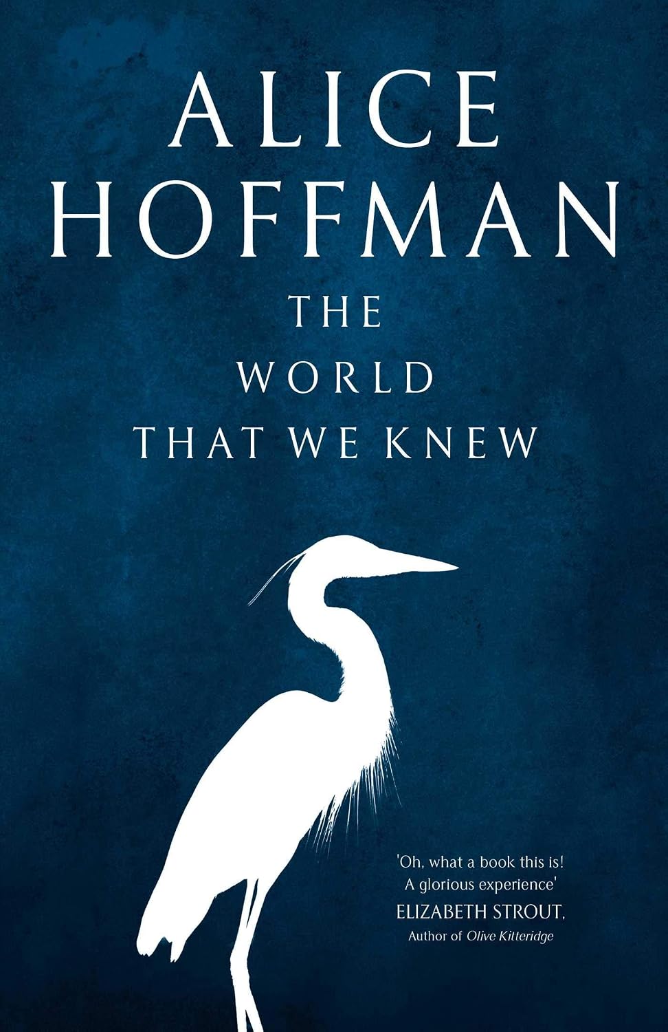 World That We Knew: A Novel