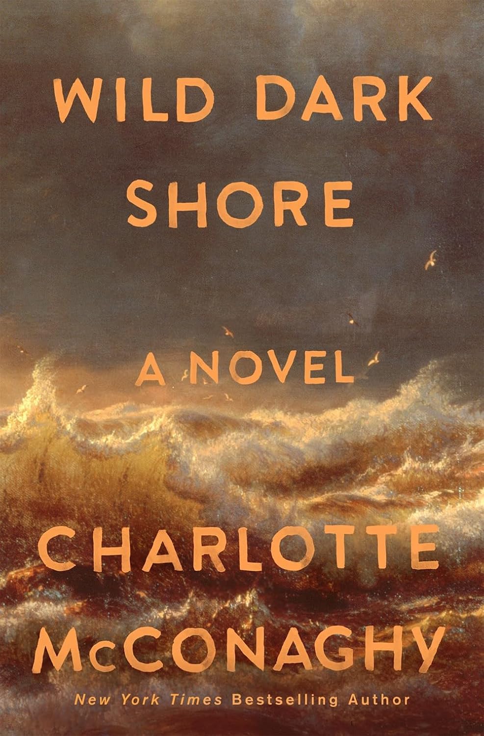 Wild Dark Shore : a Novel