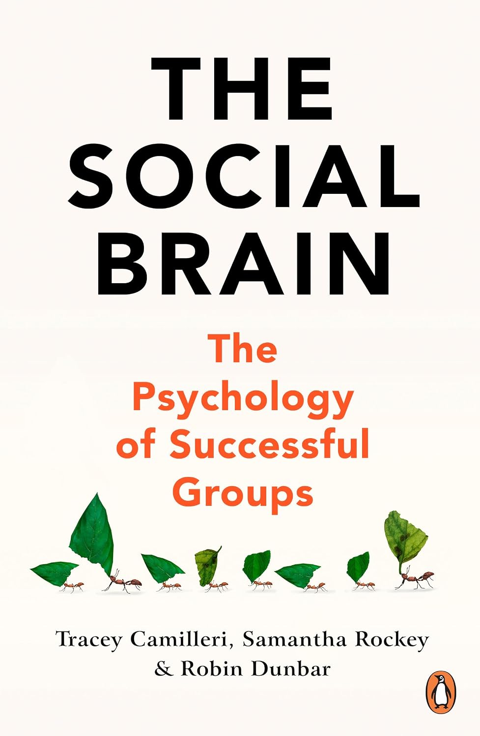 Social Brain: The Psychology of Successful Groups