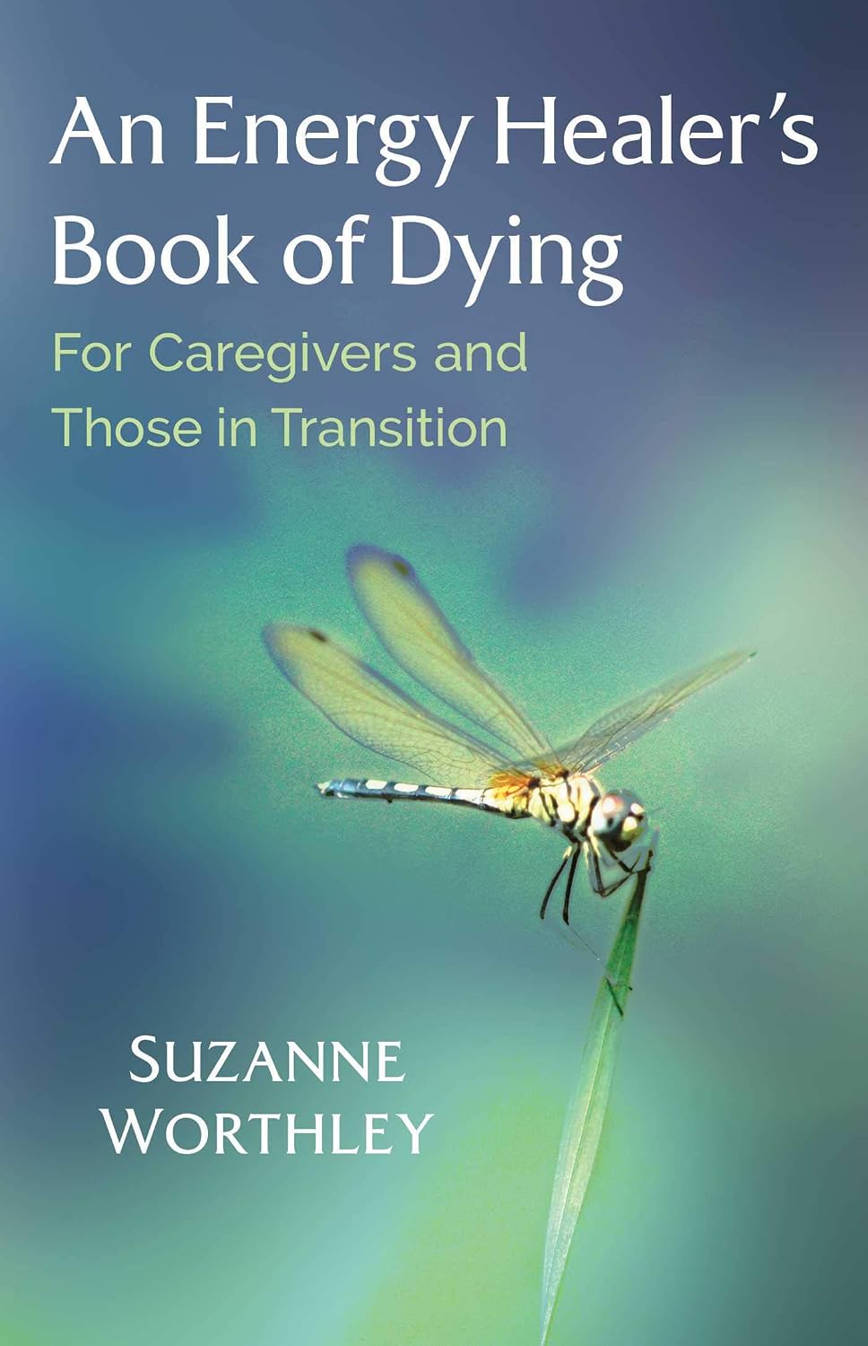 Energy Healer's Book of Dying: For Caregivers and Those in Transition