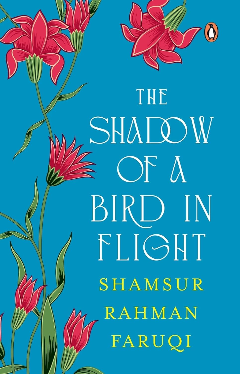 The Shadow of a Bird in Flight