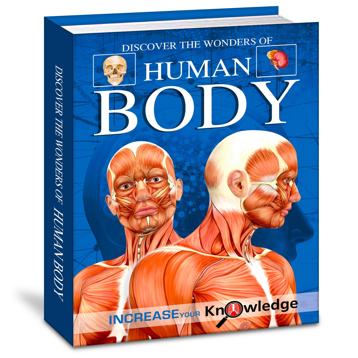 Discover the Wonders of the Human Body