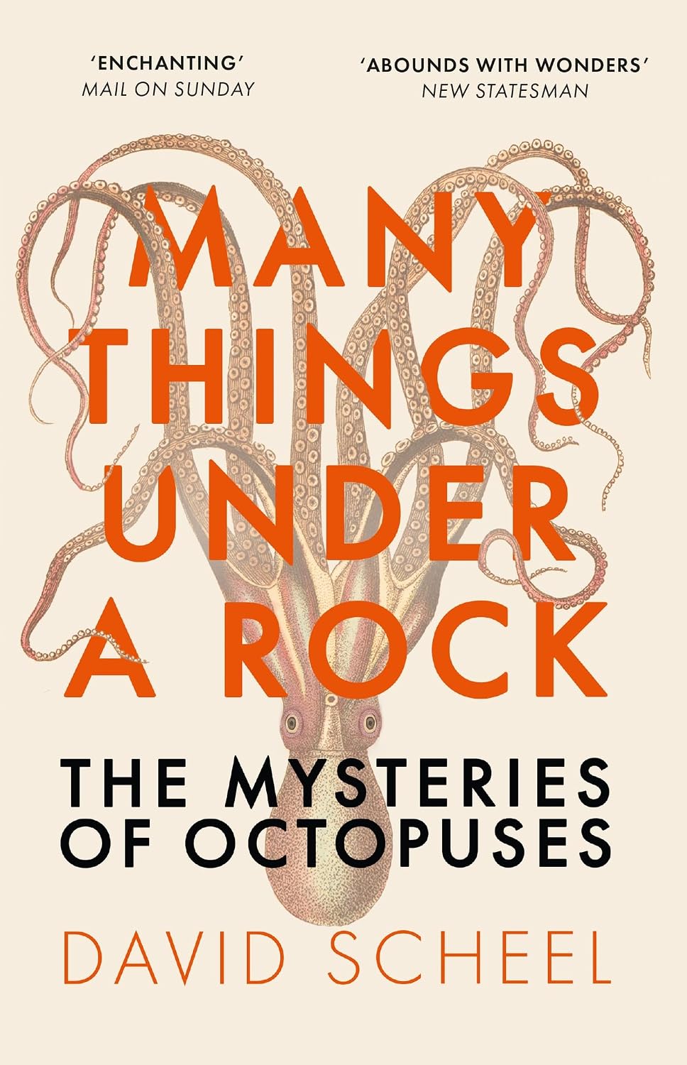 Many Things under a Rock: The Mysteries of Octopuses