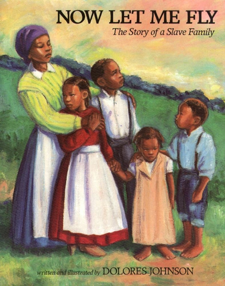 Now let me fly: the story of a slave family