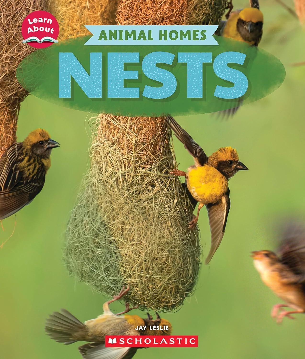 Learn About: Animal Homes: Nests
