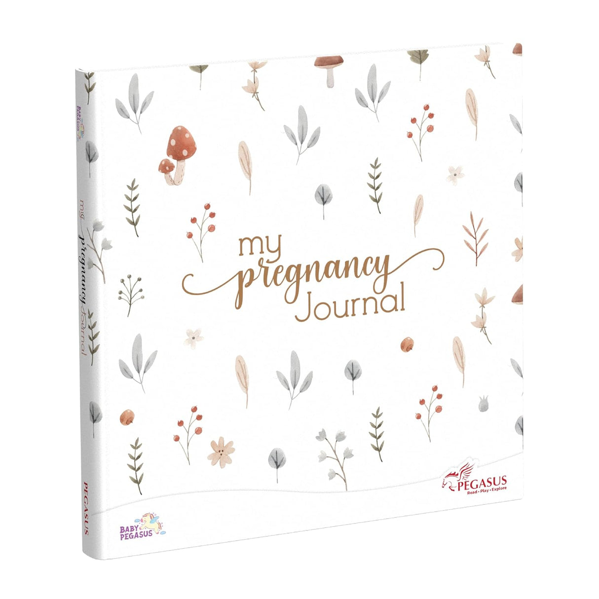 My Pregnancy Record Book