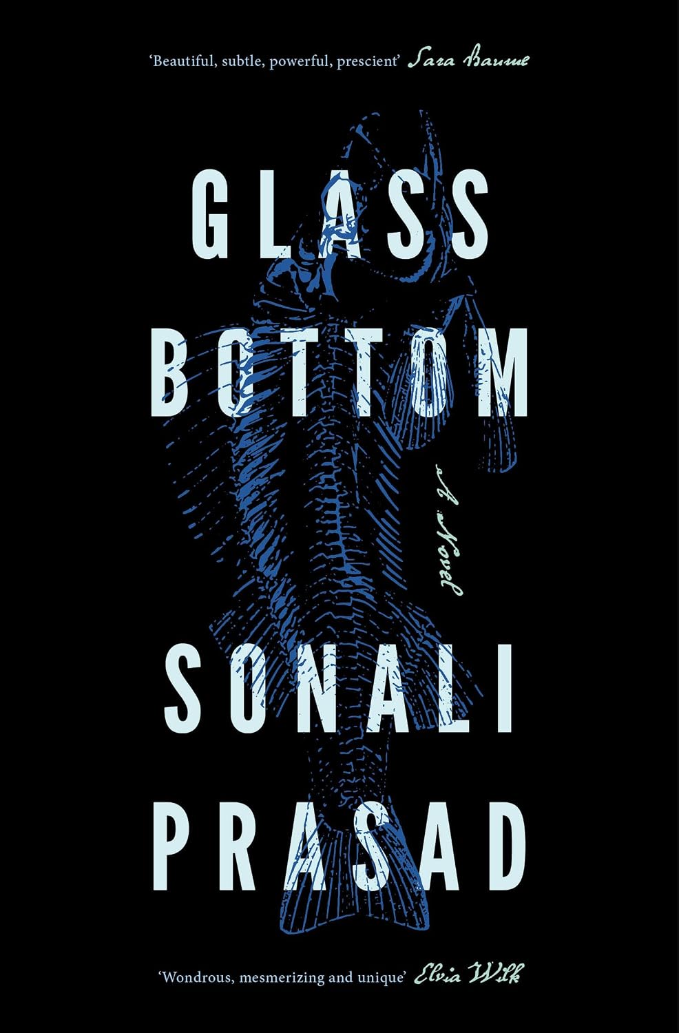 Glass Bottom