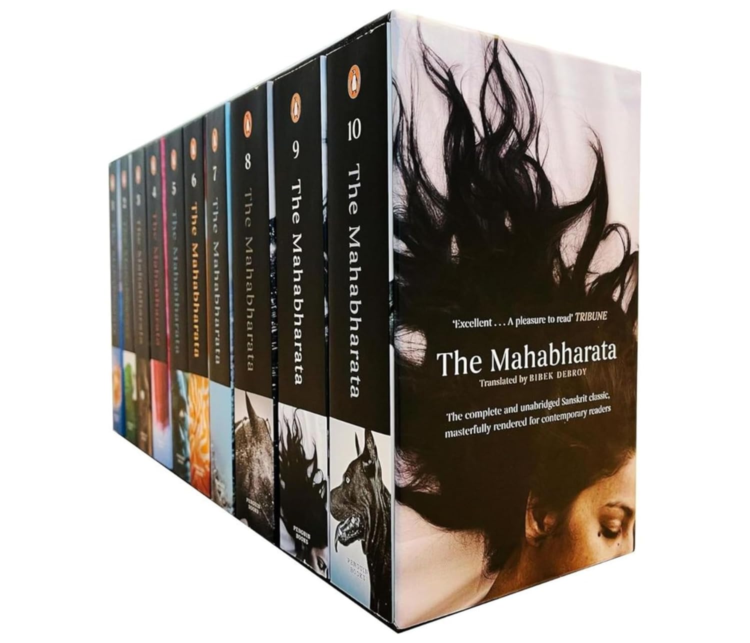 The Mahabharata (box Set)