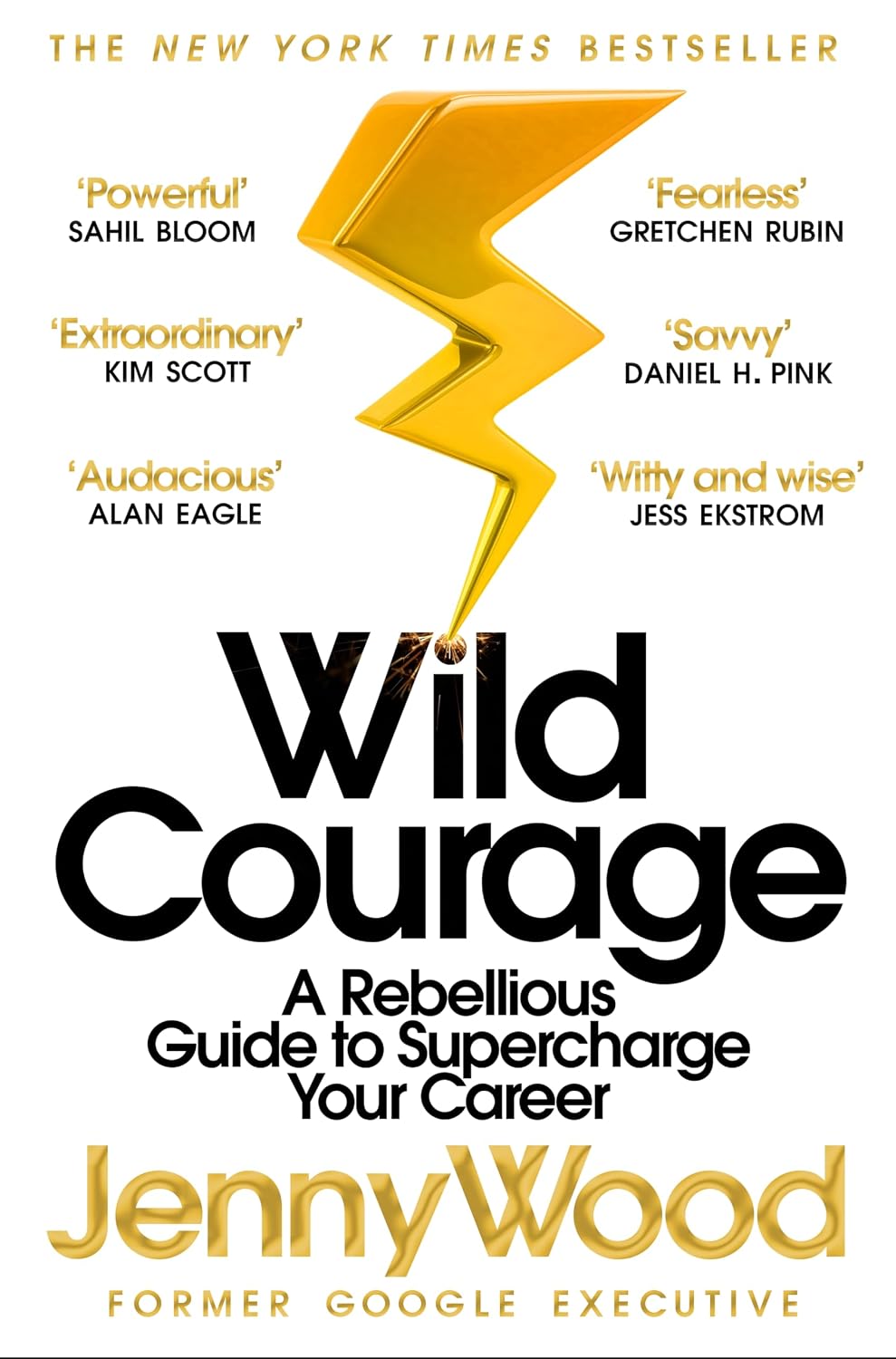 Wild Courage:a Rebellious Guide to Supercharge Your Career