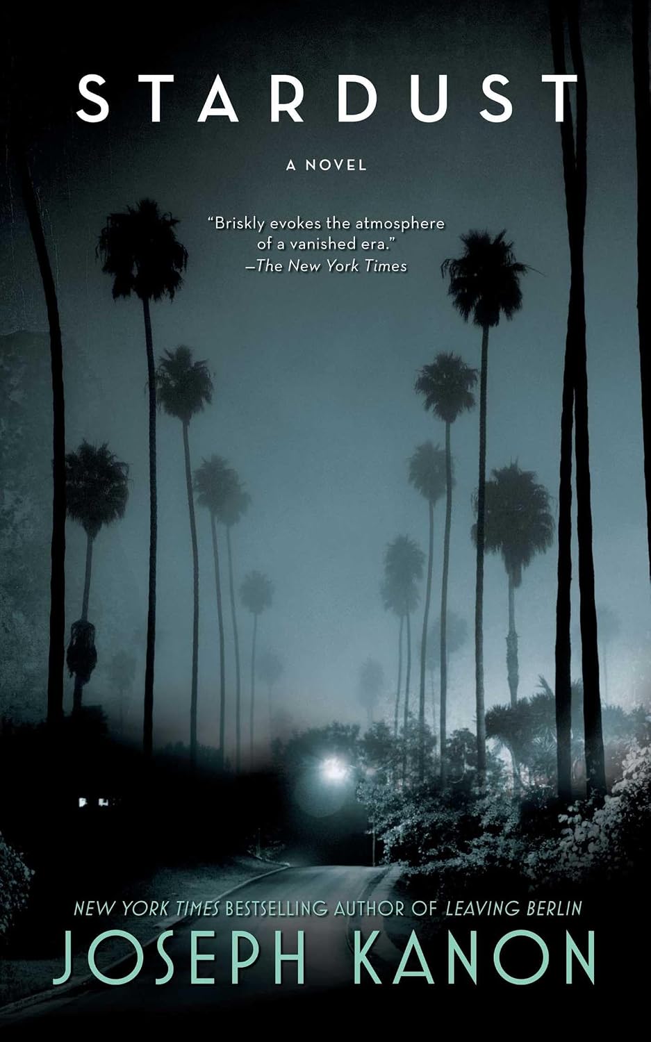 Stardust: a novel