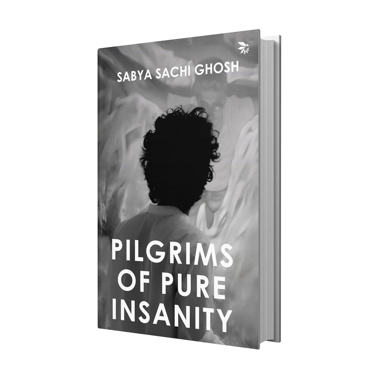 Pilgrims of Pure Insanity
