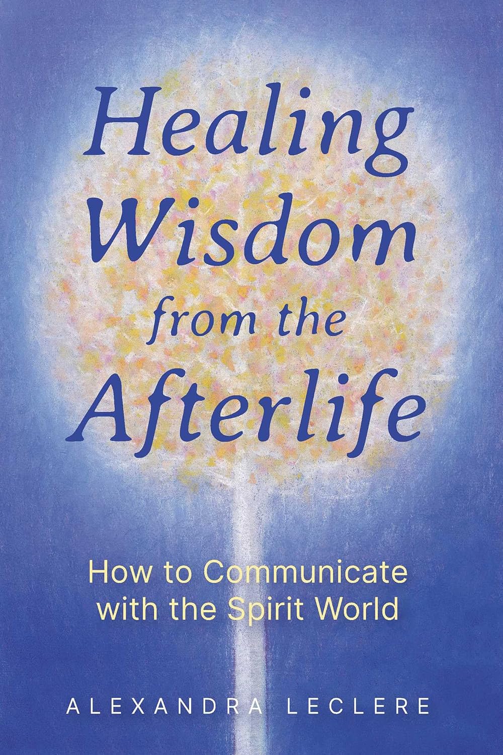 Healing Wisdom From the Afterlife