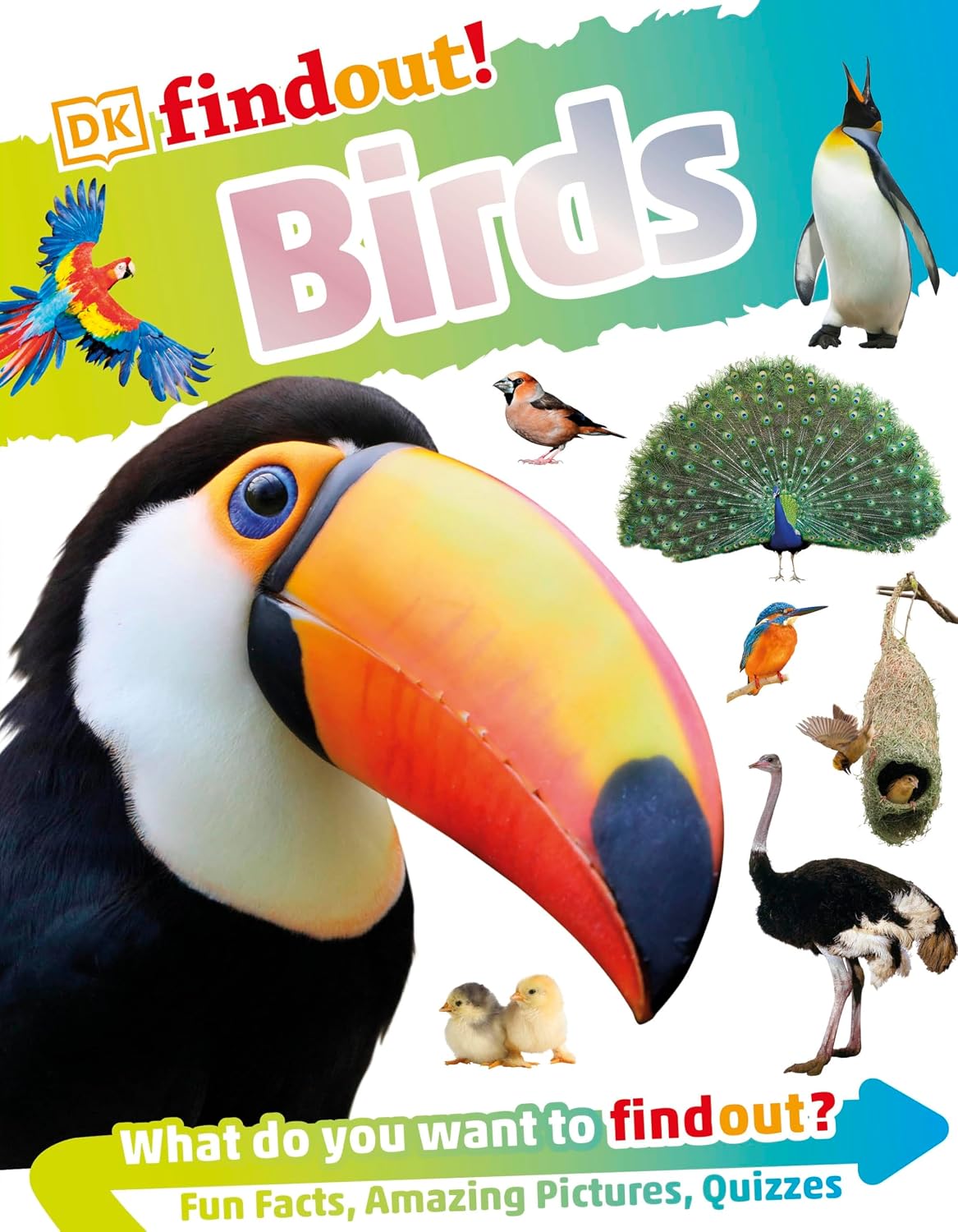 Dkfindout! Birds