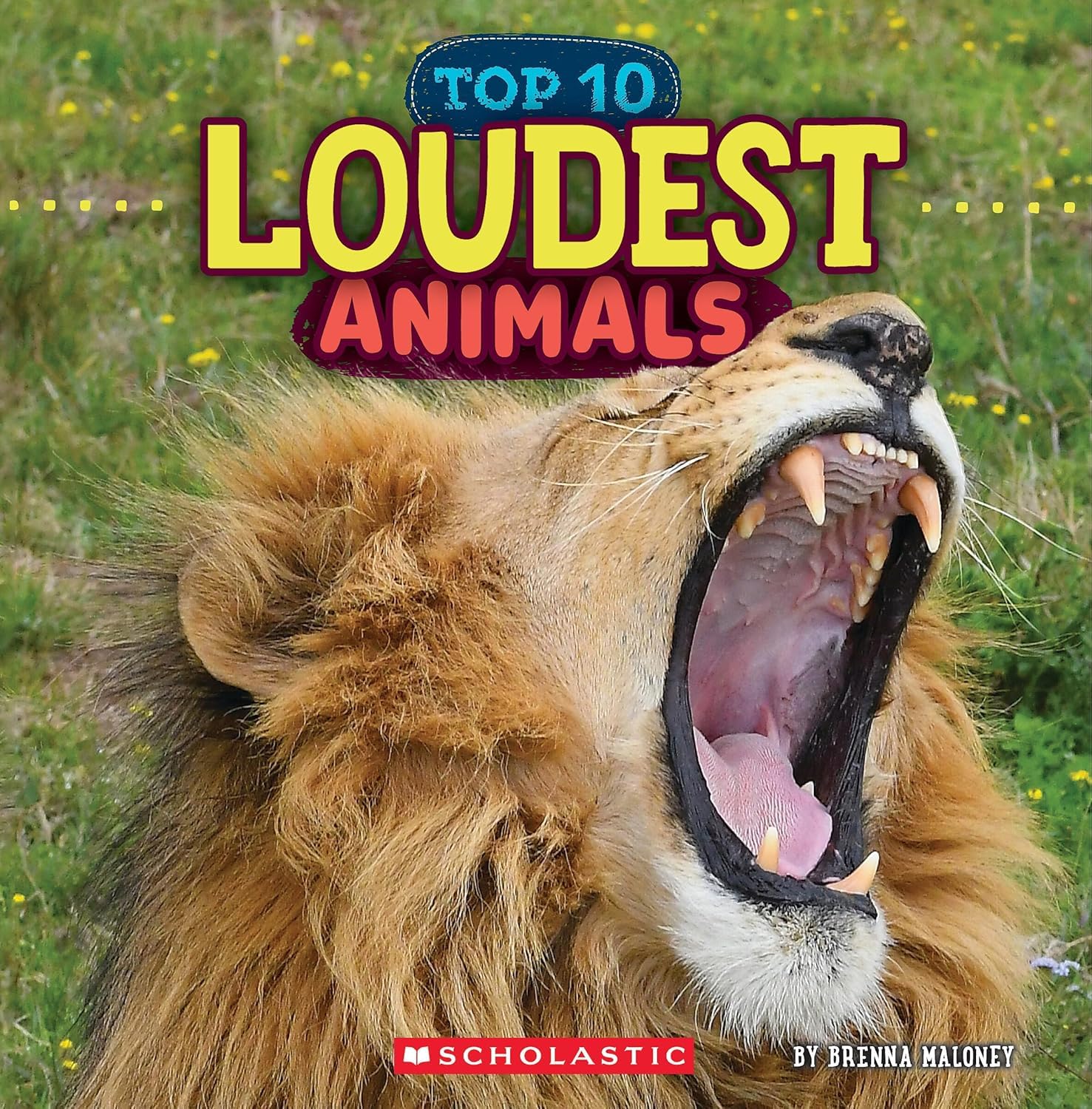 Loudest Animals (wild World: Top 10)