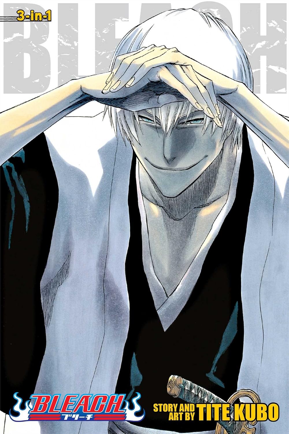 Bleach Vol 19-21