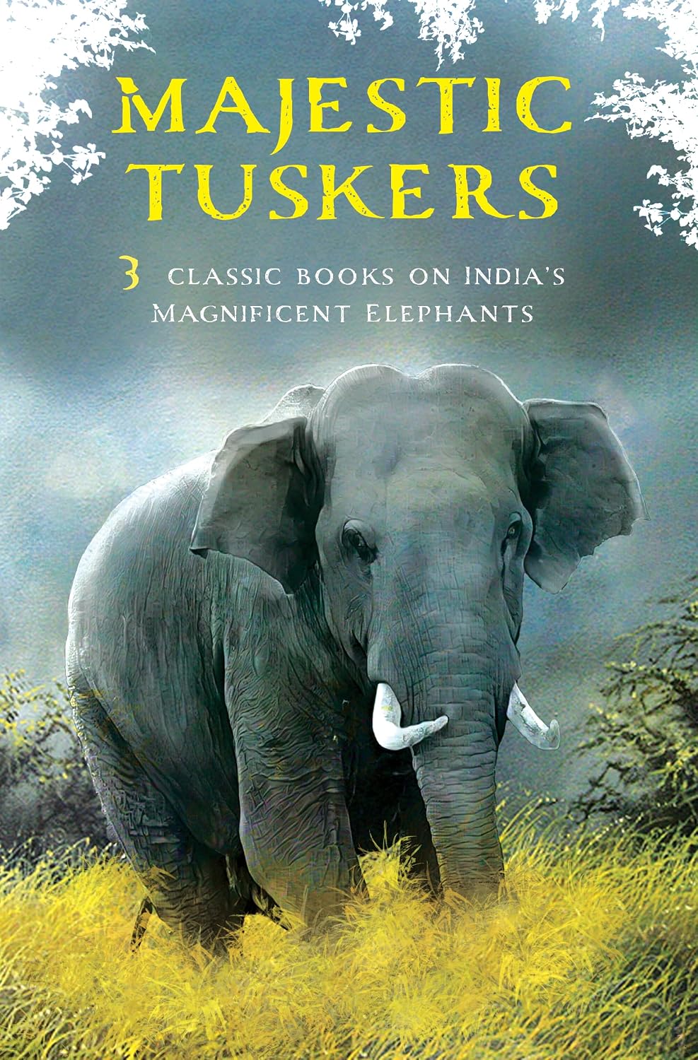 Majestic Tuskers Box Set