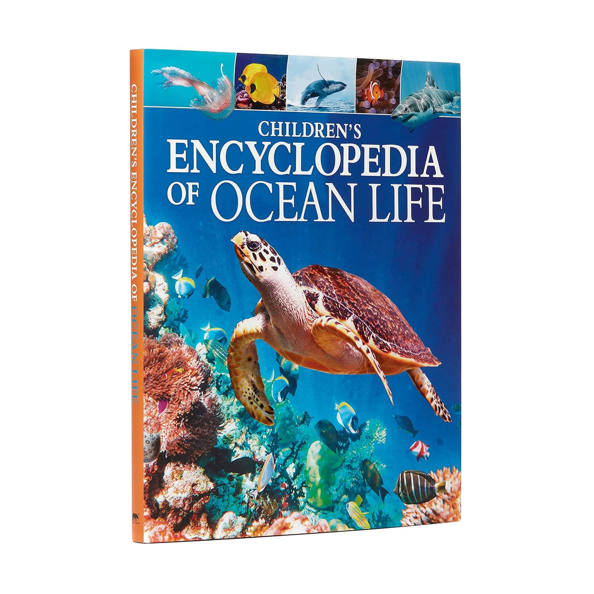 Childrens Encyclopedia Of Ocean Life