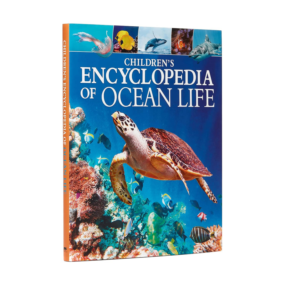 Childrens Encyclopedia Of Ocean Life