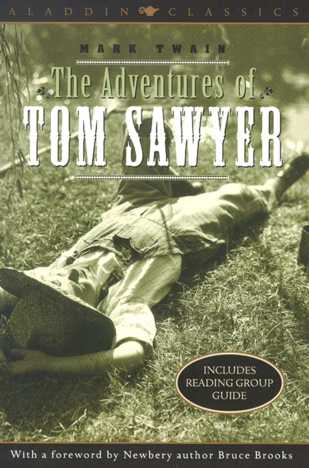 The adventures of Tom Sawyer