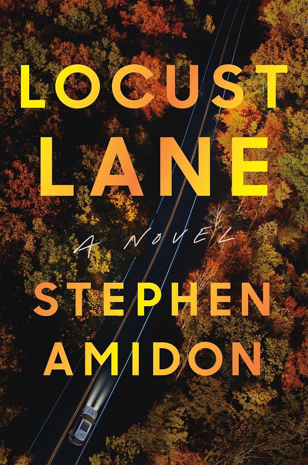 Locust Lane: a Novel