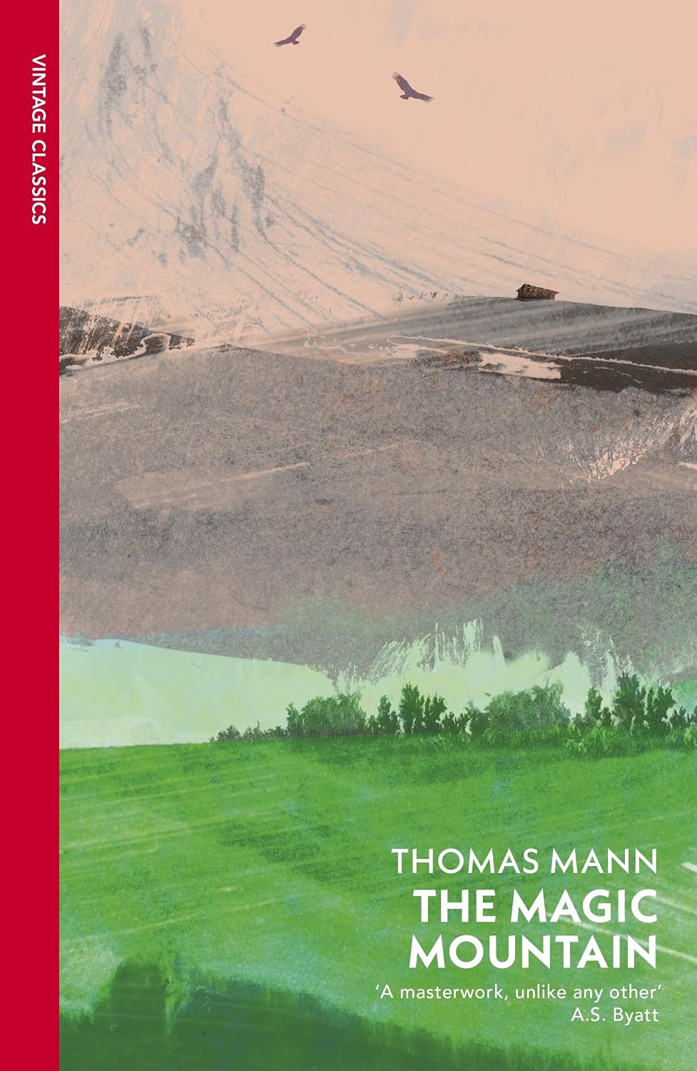 The magic mountain: with a postscript by the author on the making of the novel