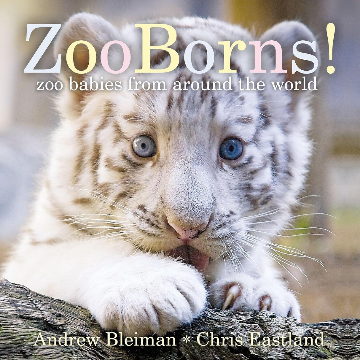 Zooborns Zoo Babies From Around The World