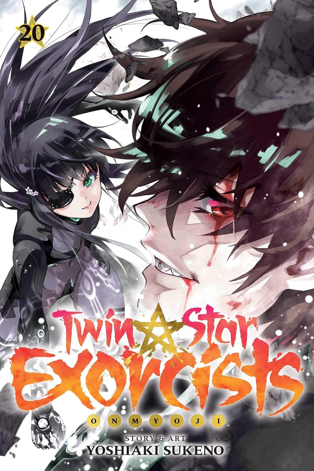 Twin Star Exorcists Vol 20
