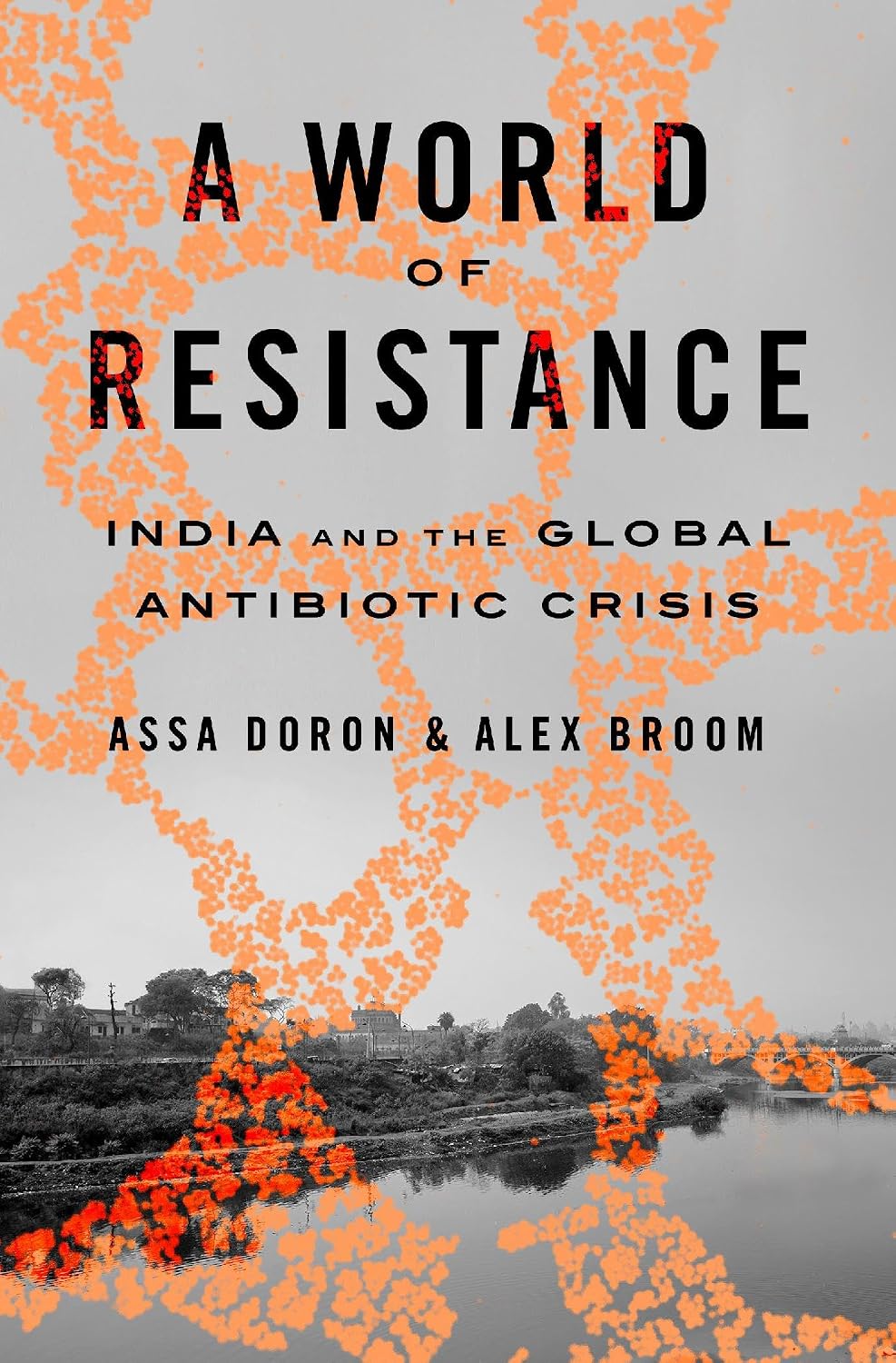 A World of Resistance : India and the Global Antibiotic Crisis