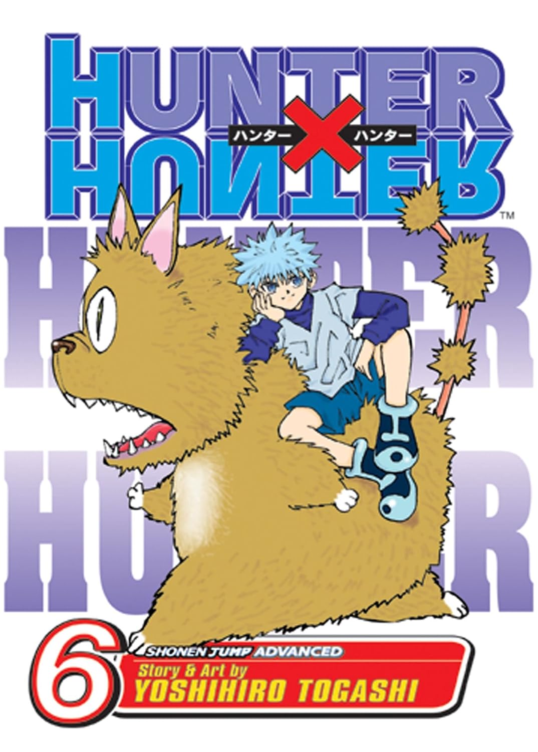 Hunter X Hunter Vol 6