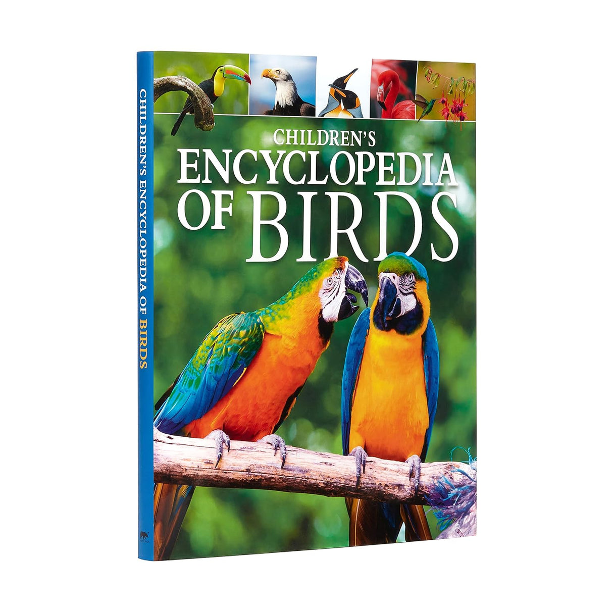 Childrens Encyclopedia Of Birds