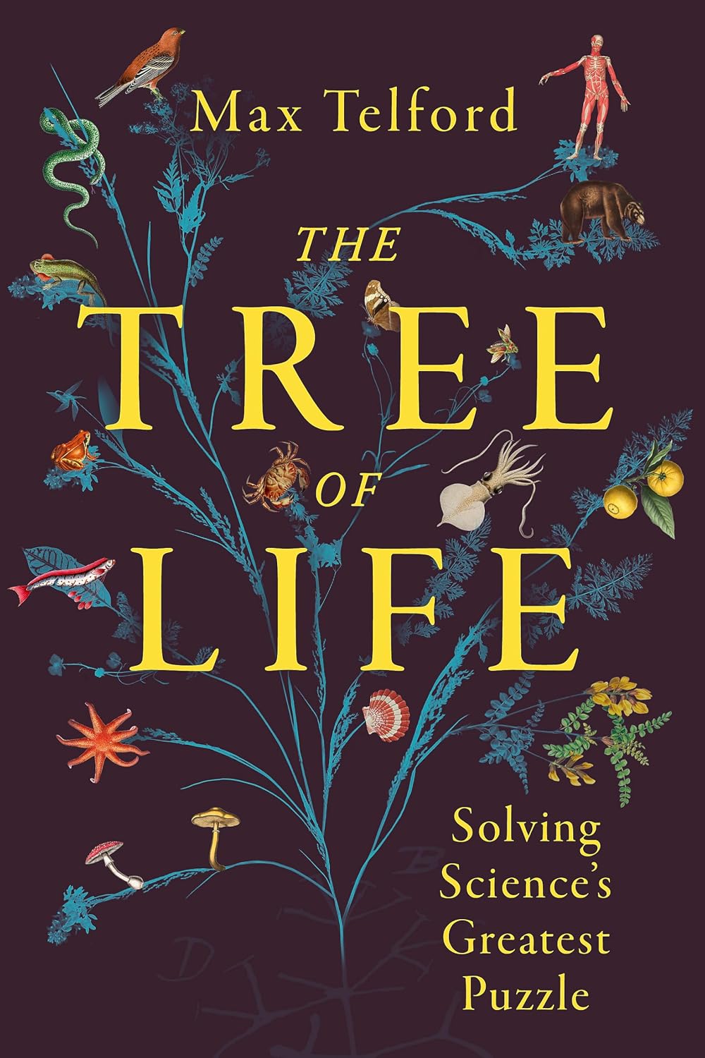 The Tree of Life